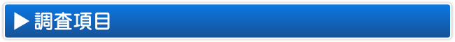 アイシン探偵事務所の調査項目