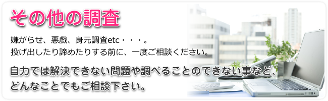 北海道札幌市の様々な調査