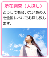 所在調査